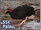 Micronesian Megapode Megapodius laperouse