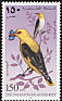 Eurasian Golden Oriole Oriolus oriolus