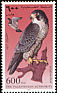 Peregrine Falcon Falco peregrinus