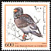 Bateleur Terathopius ecaudatus