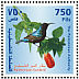 Palestine Sunbird Cinnyris osea  1999 Palestinian Sunbird  MS