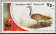 Macqueen's Bustard Chlamydotis macqueenii