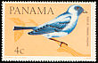 Blue-grey Tanager Thraupis episcopus