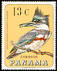 Belted Kingfisher Megaceryle alcyon  1967 Birds 