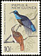Magnificent Riflebird Ptiloris magnificus  1964 Definitives 