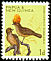 Streaked Bowerbird Amblyornis subalaris  1965 Definitives 