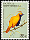 Crested Satinbird Cnemophilus macgregorii  1970 Fauna conservation 