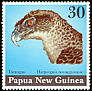 Papuan Eagle Harpyopsis novaeguineae  1974 Birds heads 