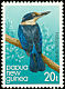 Sacred Kingfisher Todiramphus sanctus  1981 Kingfishers 