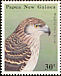 Doria's Goshawk Megatriorchis doriae  1985 Birds of prey 