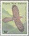 Doria's Goshawk Megatriorchis doriae  1985 Birds of prey 