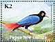 Blue Bird-of-paradise Paradisornis rudolphi