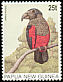 Pesquet's Parrot Psittrichas fulgidus