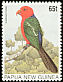 Papuan King Parrot Alisterus chloropterus  1996 Parrots 