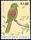 Red-winged Parrot Aprosmictus erythropterus  1996 Parrots 