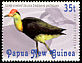 Comb-crested Jacana Irediparra gallinacea  2001 Waterbirds 