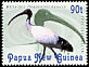 Australian White Ibis Threskiornis molucca  2001 Waterbirds 