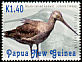 Black-tailed Godwit Limosa limosa