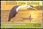 Pied Heron Egretta picata  2005 Coastal birds 
