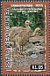 Southern Cassowary Casuarius casuarius