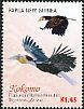 Blyth's Hornbill Rhyticeros plicatus  2016 Kokomo 