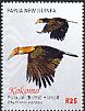 Blyth's Hornbill Rhyticeros plicatus  2016 Kokomo 