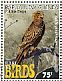 Little Eagle Hieraaetus morphnoides  2017 Rare birds Sheet