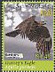 Gurney's Eagle Aquila gurneyi  2018 Rare birds, Birdpex 