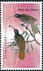 Pale-billed Sicklebill Drepanornis bruijnii  2023 Birds of Paradise 