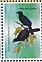 Glossy-mantled Manucode Manucodia ater  2023 Birds of Paradise Sheet