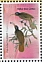 Pale-billed Sicklebill Drepanornis bruijnii  2023 Birds of Paradise Sheet