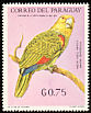 Yellow-headed Amazon Amazona oratrix  1969 Latin American wildlife 