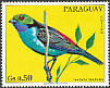 Paradise Tanager Tangara chilensis  1973 Birds 