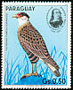 Crested Caracara Caracara plancus