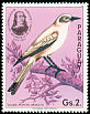 White Monjita Xolmis irupero  1985 Audubon 