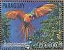 Blue-and-yellow Macaw Ara ararauna  2022 Centro de Balderrama. 