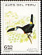 White-throated Toucan Ramphastos tucanus  1972 Peruvian birds 