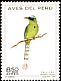 Andean Motmot Momotus aequatorialis  1972 Peruvian birds 