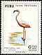 Chilean Flamingo Phoenicopterus chilensis  1973 Fauna protection 