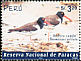 American Oystercatcher Haematopus palliatus  2002 Paracas national reserve 4v set