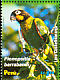 Orange-cheeked Parrot Pyrilia barrabandi  2006 Parrots Sheet