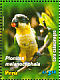 Black-headed Parrot  Pionites melanocephalus