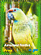 Festive Amazon Amazona festiva  2006 Parrots Sheet