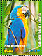 Blue-and-yellow Macaw Ara ararauna  2006 Parrots Sheet