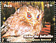 Long-whiskered Owlet Xenoglaux loweryi  2008 Buho de bolsillo 