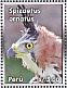 Ornate Hawk-Eagle Spizaetus ornatus  2013 Eagles of Peru Sheet