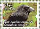 Groove-billed Ani Crotophaga sulcirostris  2014 Birds of Peru Sheet