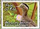 Peruvian Thick-knee Burhinus superciliaris  2014 Birds of Peru Sheet