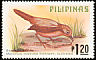 Brown Tit-Babbler Macronus striaticeps  1979 Birds 