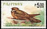 Great Eared Nightjar Lyncornis macrotis  1979 Birds 